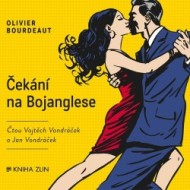 Čekání na Bojanglese - cena, porovnanie