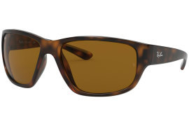 Ray Ban RB4300