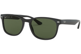 Ray Ban RB2184