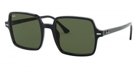 Ray Ban RB1973