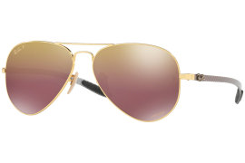 Ray Ban RB8317CH