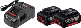 Bosch 2x GBA 18V 5.0Ah + GAL 1880 CV