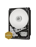 Western Digital Gold WD2005FBYZ 2TB - cena, porovnanie