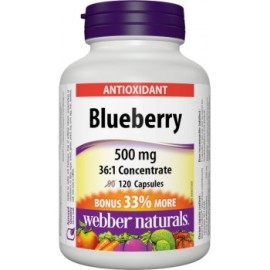 Webber Naturals Čučoriedka 120tbl