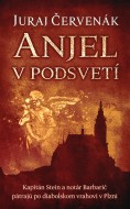 Anjel v podsvetí - cena, porovnanie