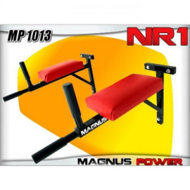 Magnus Power MP1013