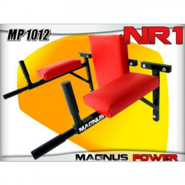 Magnus Power MP1012