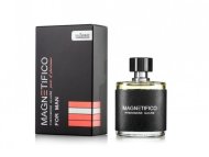 Valavani Magnetifico Pheromone Allure for Man 50ml - cena, porovnanie