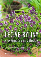 Léčivé byliny v květináči a na zahradě - cena, porovnanie