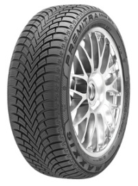 Maxxis WP6 225/45 R17 94V