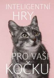 Inteligentní hry pro vaši kočku