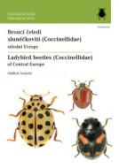 Brouci čeledi slunéčkovití (Coccinellidae) - cena, porovnanie