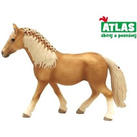 Wiky Atlas Kôň Hafling