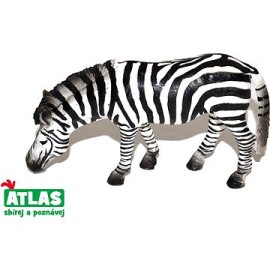 Wiky Atlas Zebra