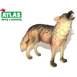 Wiky Atlas Vlk