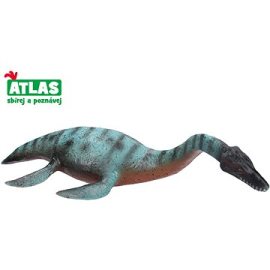 Wiky Atlas Plesiosaurus