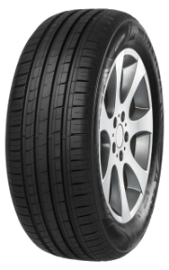 Minerva F209 225/55 R16 99V