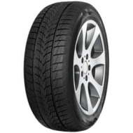 Tristar Snowpower UHP 205/55 R16 91H - cena, porovnanie