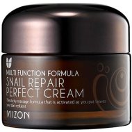 Mizon Snail Repair Perfect Cream 50ml - cena, porovnanie