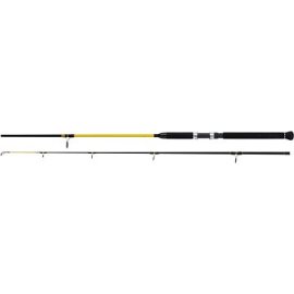 WFT Never Crack Big Fish 2,4m 150-700g