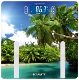 Scarlett SC-BS33ED12