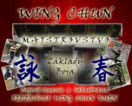 Wing Chun Majstrovstvo - Základy Boja + DVD