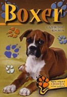 Boxer - cena, porovnanie