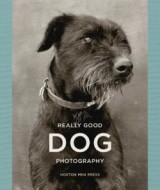 Really Good Dog Photography - cena, porovnanie