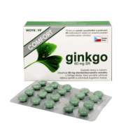 Rosenpharma Ginkgo Comfort 60mg 60tbl - cena, porovnanie