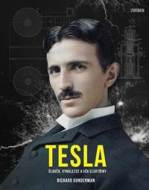 Tesla - cena, porovnanie