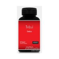 Advance Nutraceutics Tribul 60tbl - cena, porovnanie