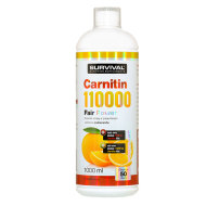 Survival L-Carnitin 110000 1000ml - cena, porovnanie