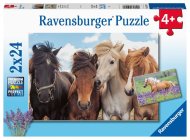 Ravensburger 051489 Fotky koní 2x24 dielikov - cena, porovnanie