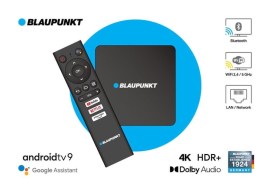 Blaupunkt B-Stream Box