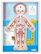 Woody Oboustranné puzzle Lidské tělo chlapec anglicky - cena, porovnanie