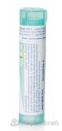 Boiron Ferrum Phosphoricum CH200 4g - cena, porovnanie