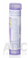 Boiron Causticum CH30 4g - cena, porovnanie