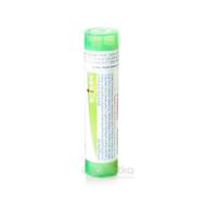 Boiron Berberis Vulgaris CH5 4g - cena, porovnanie