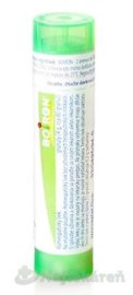Boiron Streptococcinum CH5 4g