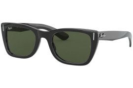 Ray Ban RB2248