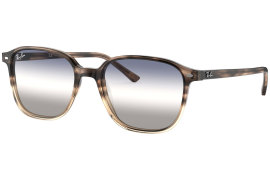 Ray Ban RB2193