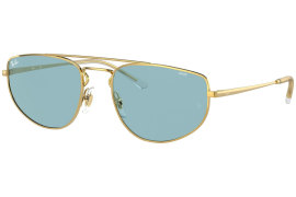 Ray Ban RB3668