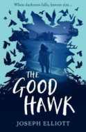 The Good Hawk (Shadow Skye, Book One) - cena, porovnanie