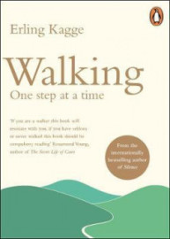 Walking - One Step at a Time
