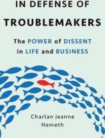 In Defense of Troublemakers