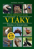 Vtáky Česka a Slovenska - cena, porovnanie