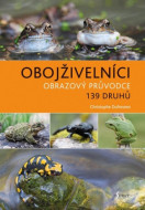 Obojživelníci - cena, porovnanie