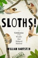Sloths - cena, porovnanie