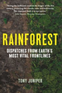 Rainforest - cena, porovnanie