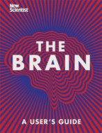The Brain - Everything You Need to Know - cena, porovnanie
